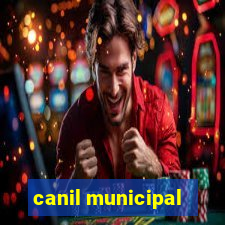 canil municipal